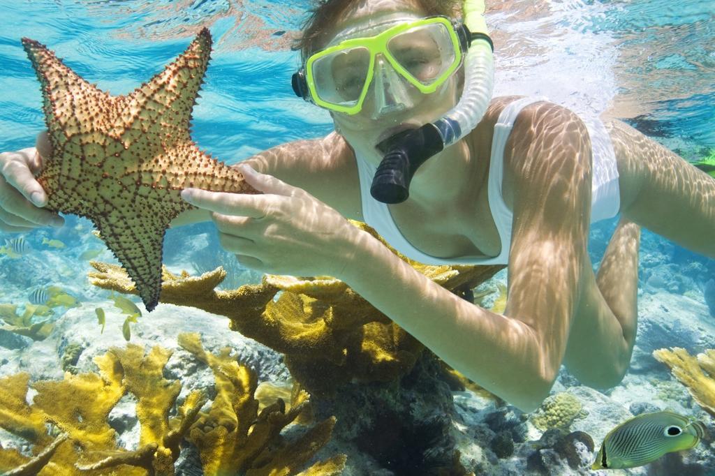 Pari Solata Seaview Homestay Syariah Kepulauan Seribu Zewnętrze zdjęcie